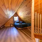 Chalet Domek alpejski