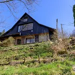 Chalet Domek alpejski *