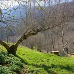 Domek alpejski Chalet *