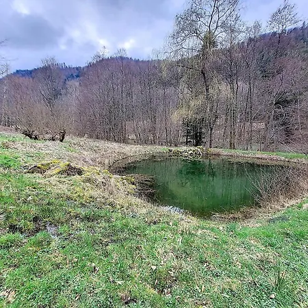 Chalet * Mittlach