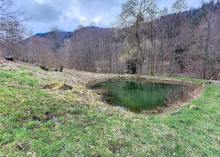 Alpesi faház Chalet